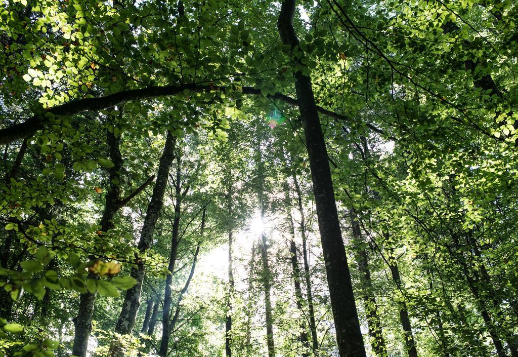 Biohotel Schlossgut Oberambach Exteriör bild